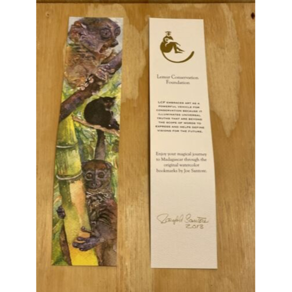 Lemur Conservation Foundation Bookmark Joe Santore Lemur Bookmarks 2013 (4 pack) - Picture 6 of 12